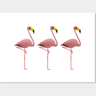 flamingo Posters and Art